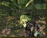 Crysis 2008-10-08 18-46-01-42