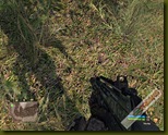 Crysis 2008-10-08 18-46-08-76