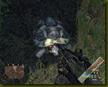 Crysis 2008-10-08 19-10-42-78
