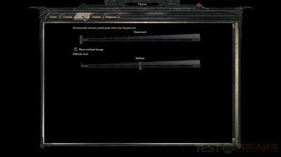 Divinity2 2009-12-16 15-11-32-15